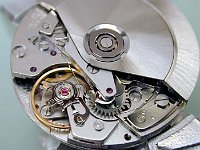 MovementFullWithRotorDscn0743